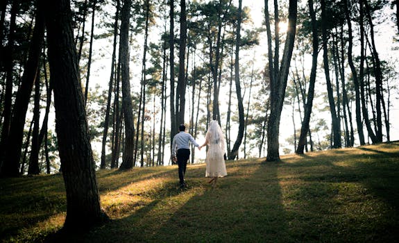 a peaceful park with walking paths