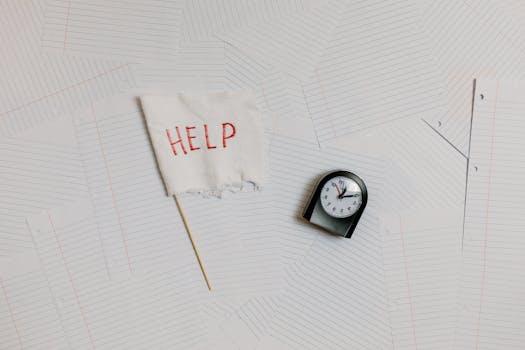 Image of a busy academic office